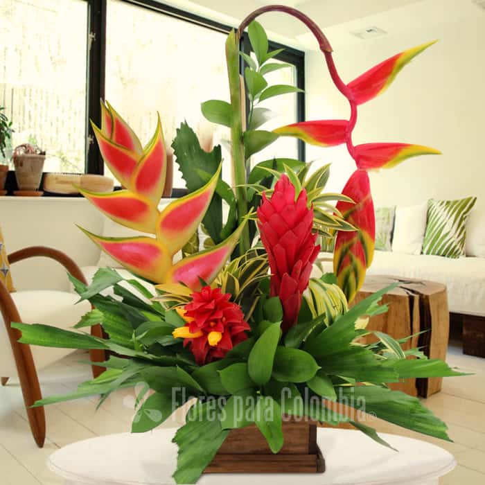 triangular varias flores x 4