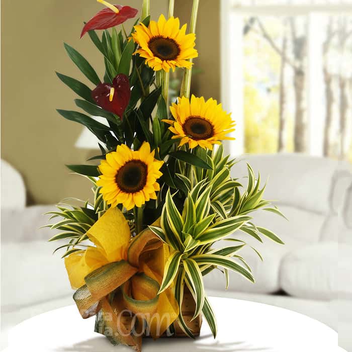 Arreglo Floral una cara varias flores x 5