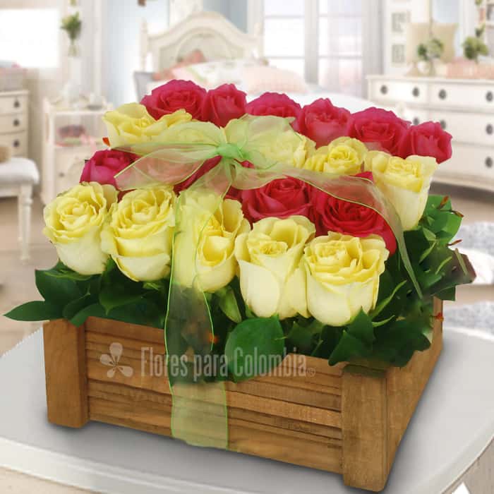 rectangular rosas varios colores x 24