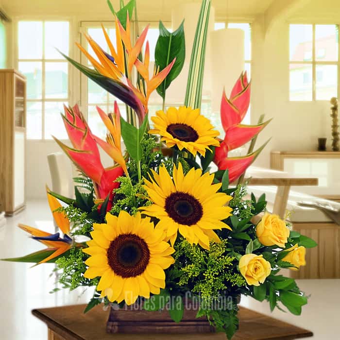 triangular varias flores x 12