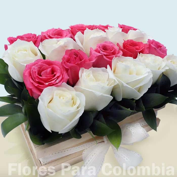 rectangular rosas varios colores x 24