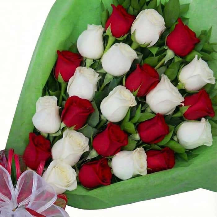 ramillete rosas varios colores x 24