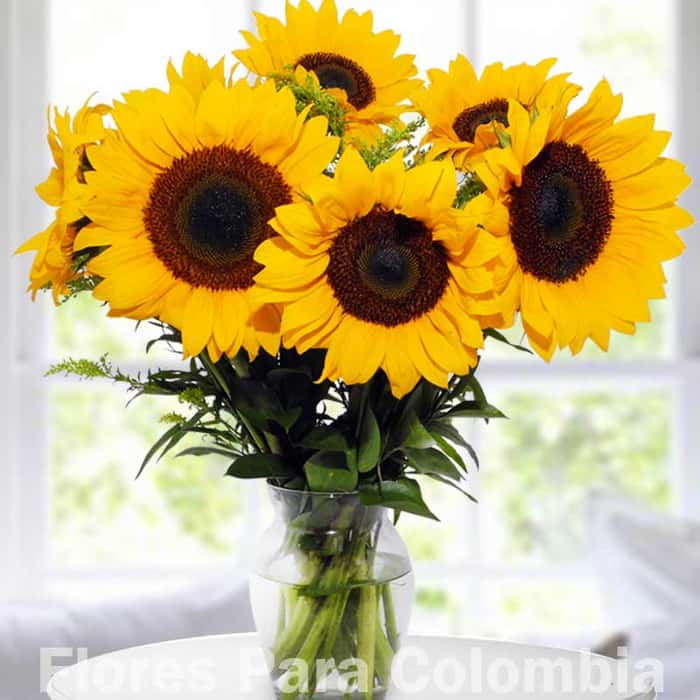 Arreglo Floral una cara girasoles x 8