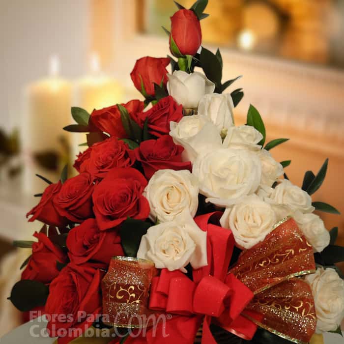triangular rosas varios colores x 24