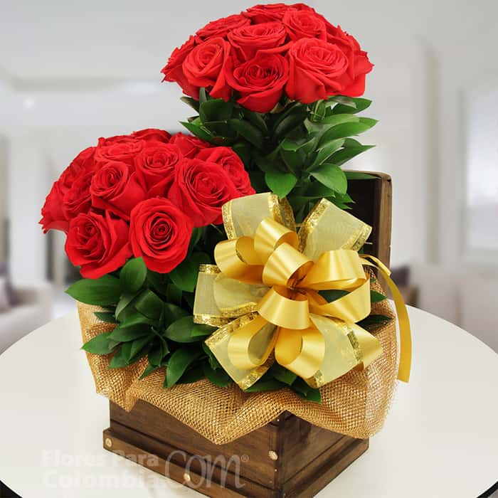 dos bombones rosas rojas x 24