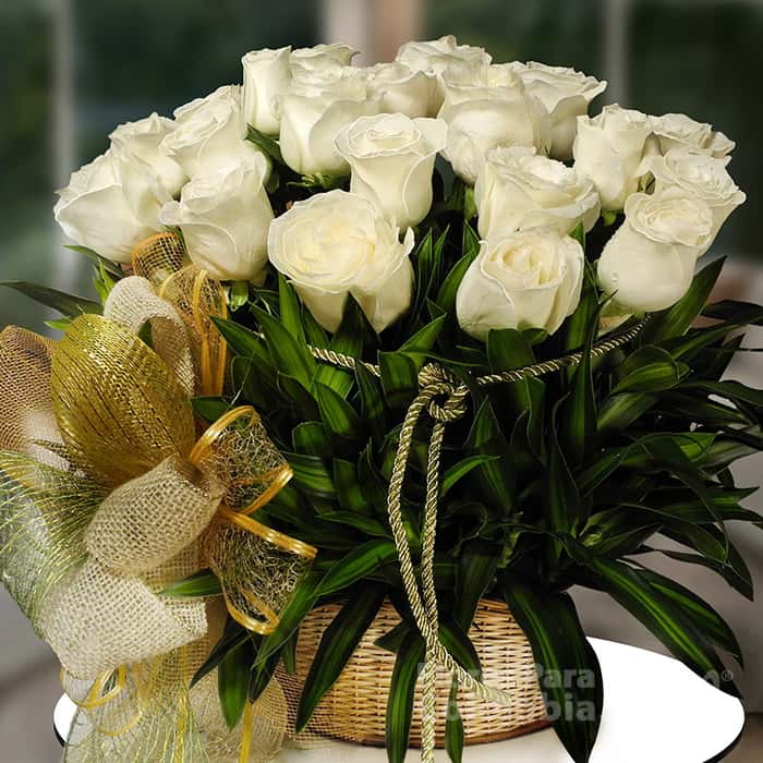 Arreglo Floral una cara rosas blancas x 24