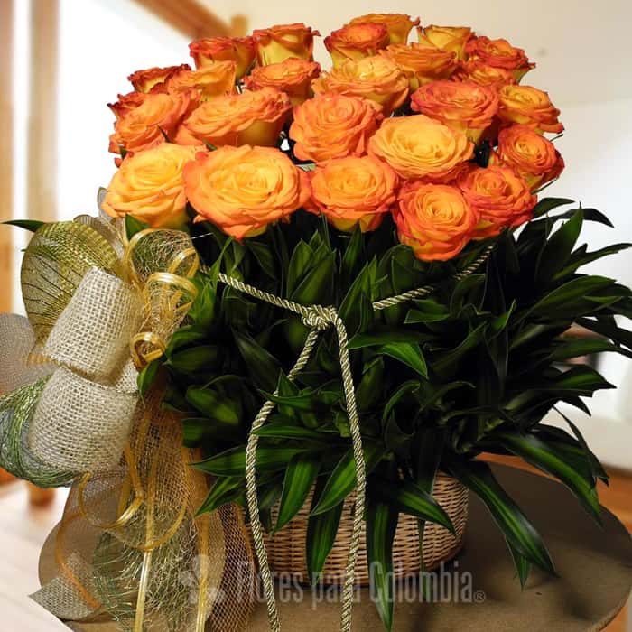 Arreglo Floral una cara rosas naranja x 24