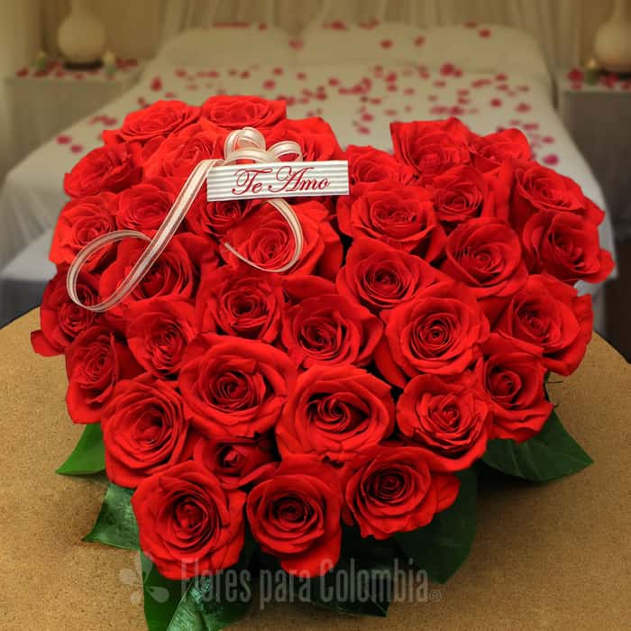 corazón rosas rojas x 48
