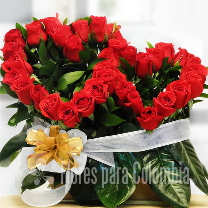corazón rosas rojas x 48