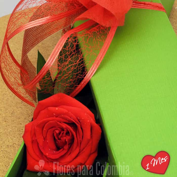 caja rosas rojas x 1