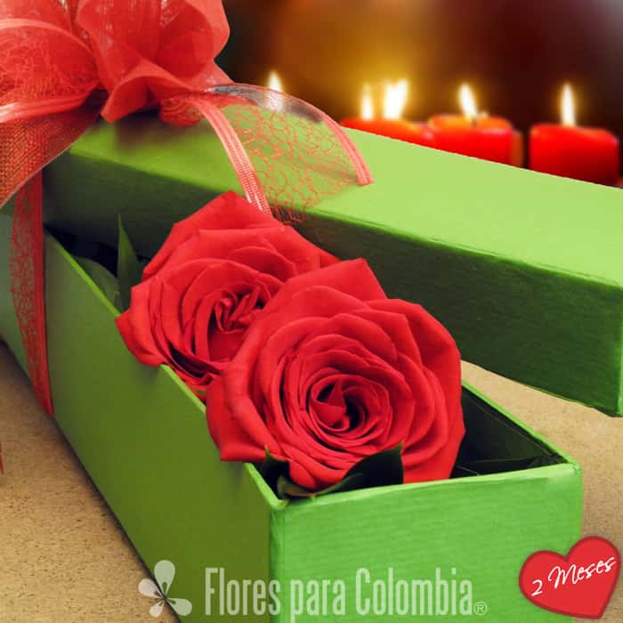caja rosas rojas x 2