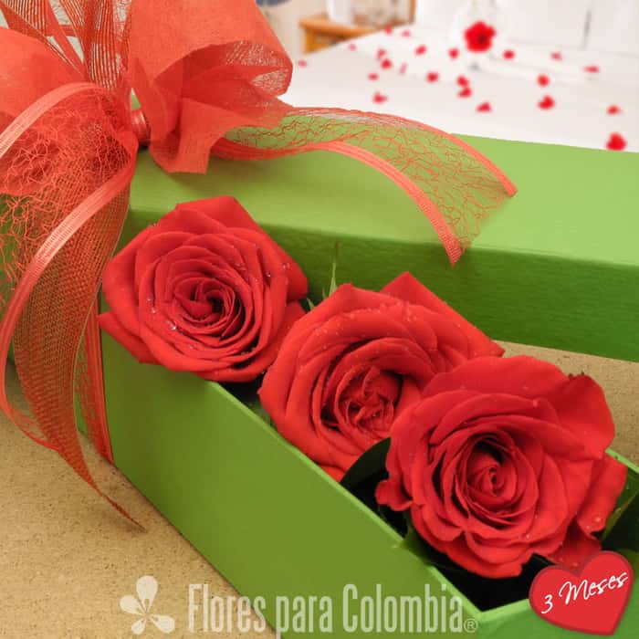 caja rosas rojas x 3