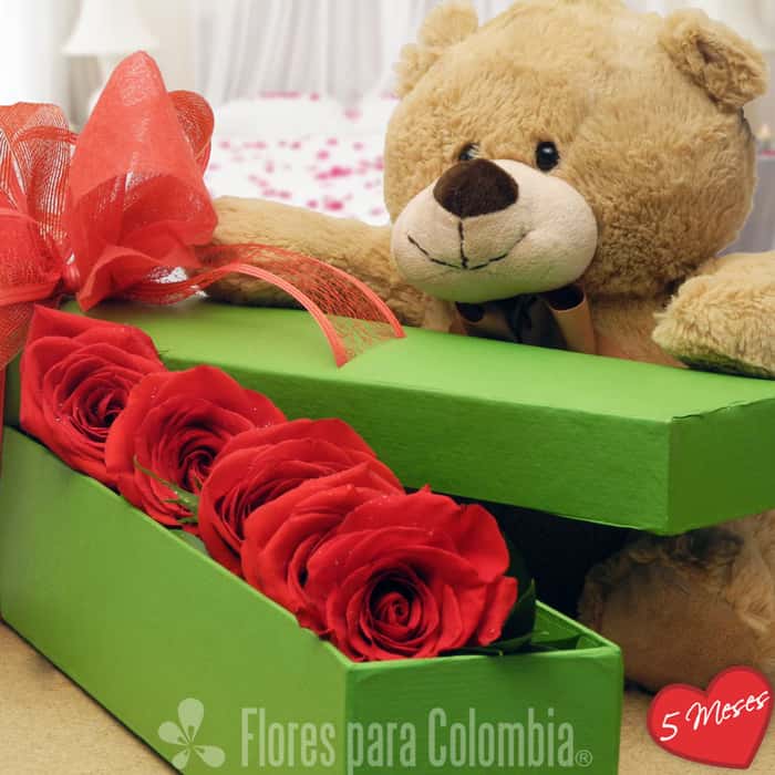caja rosas rojas x 5