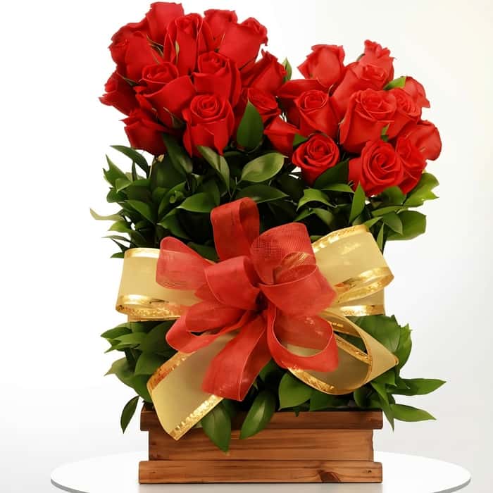 dos bombones rosas rojas x 24