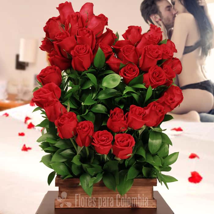 abrazo rosas rojas x 36