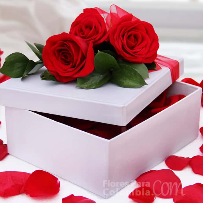 caja varias flores x 4