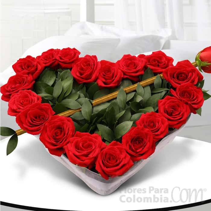 corazón rosas rojas x 23