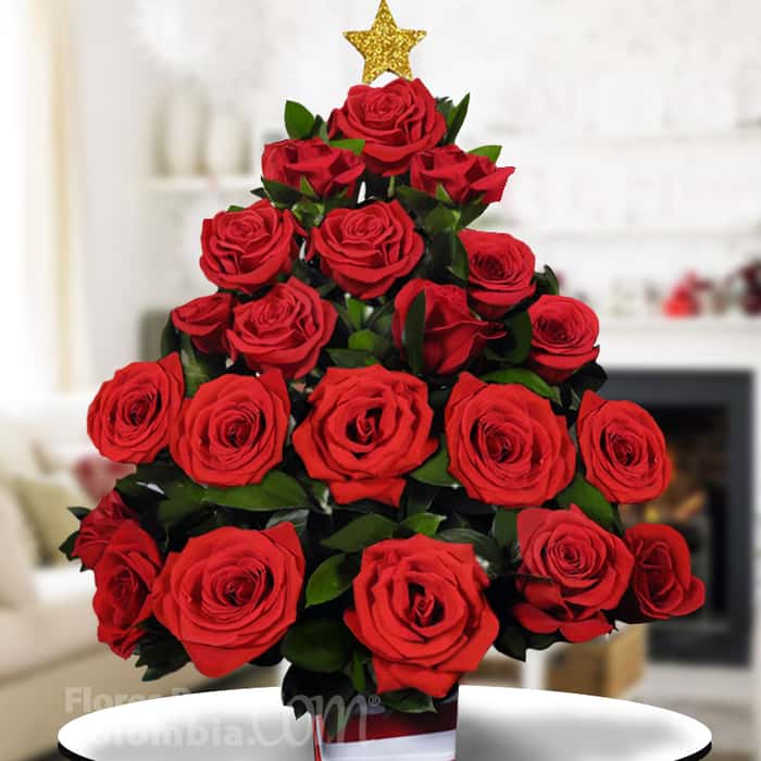 triangular rosas rojas x 24