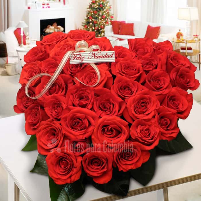 corazón rosas rojas x 48