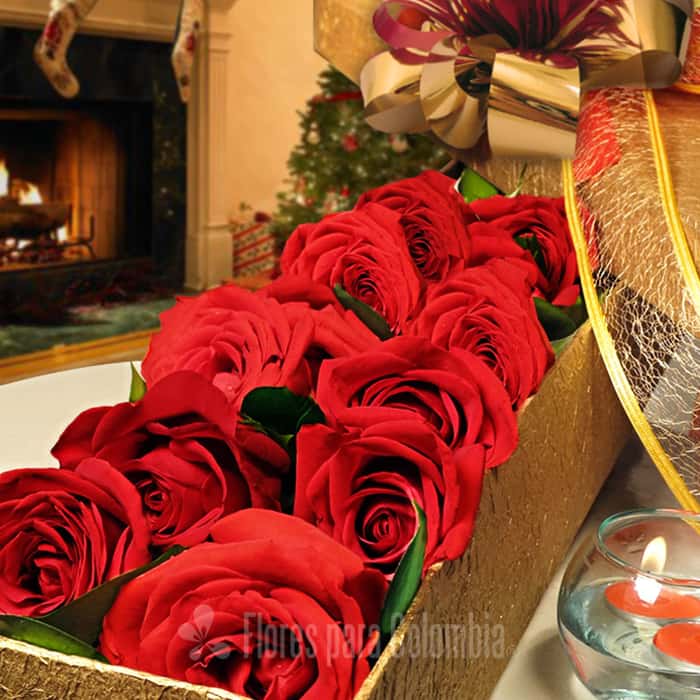 caja rosas rojas x 12
