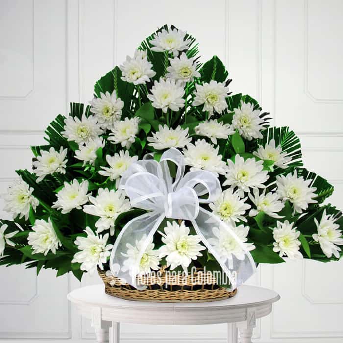 triangular pompones blancos x 36