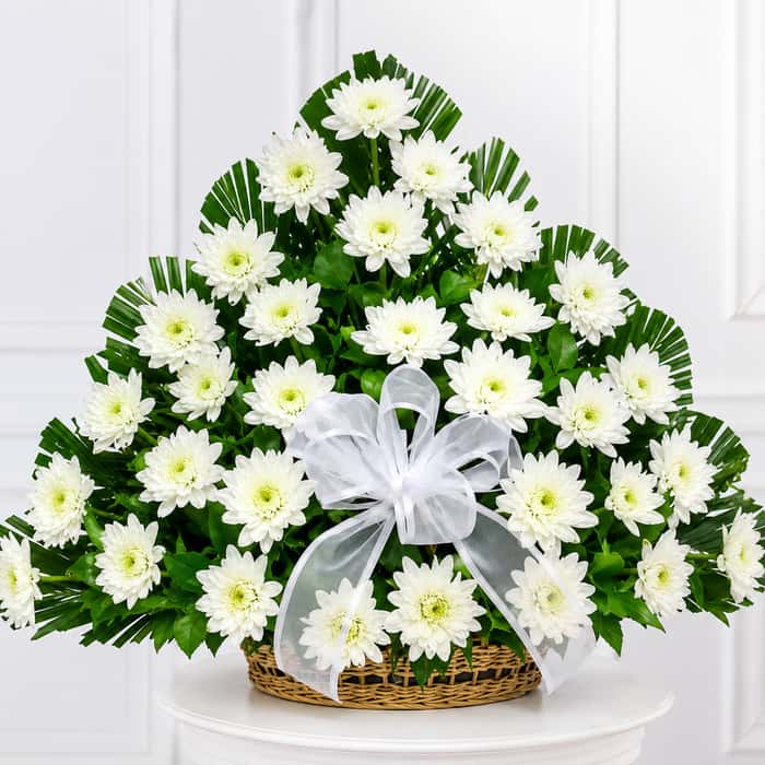 triangular pompones blancos x 36