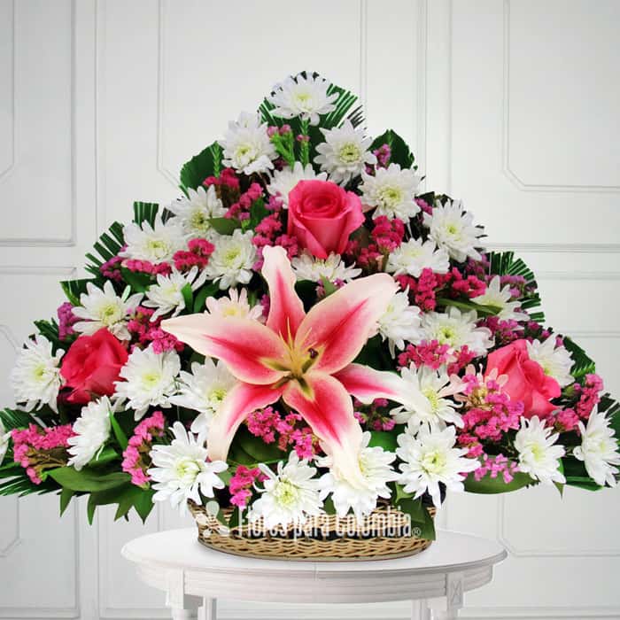 triangular varias flores x 6