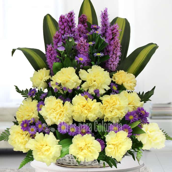 triangular varias flores x 27