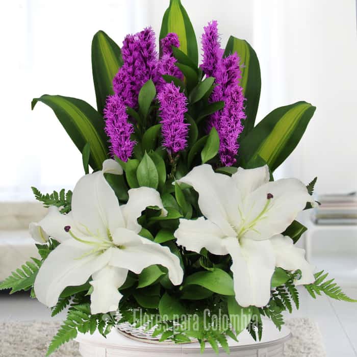 triangular varias flores x 10