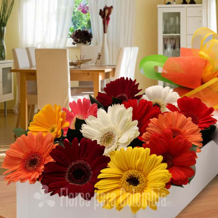 caja gerberas varios colores x 12