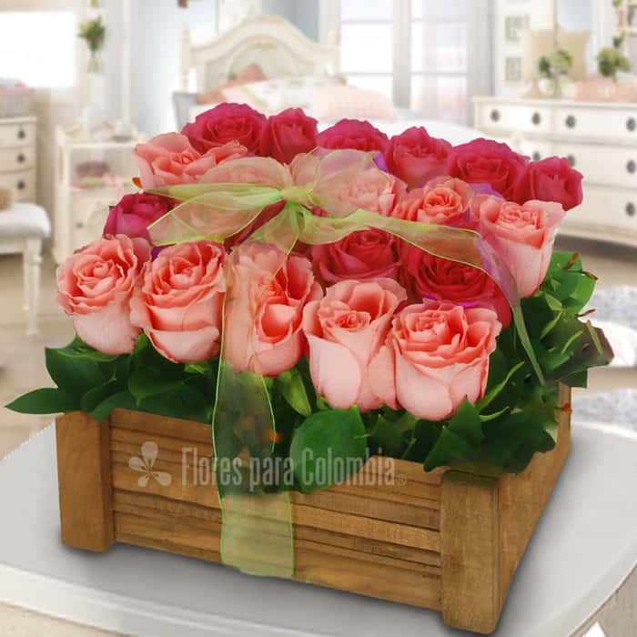 rectangular rosas varios colores x 24