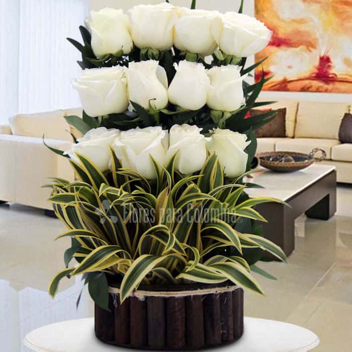 Arreglo Floral una cara rosas blancas x 12