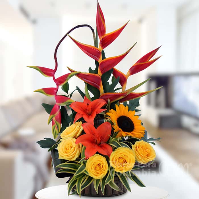 triangular varias flores x 12