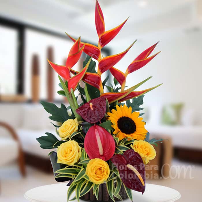 triangular varias flores x 12