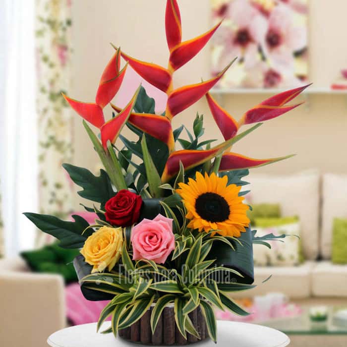 triangular varias flores x 7