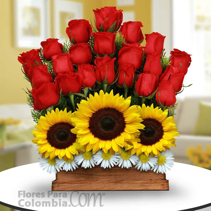 casa varias flores x 26