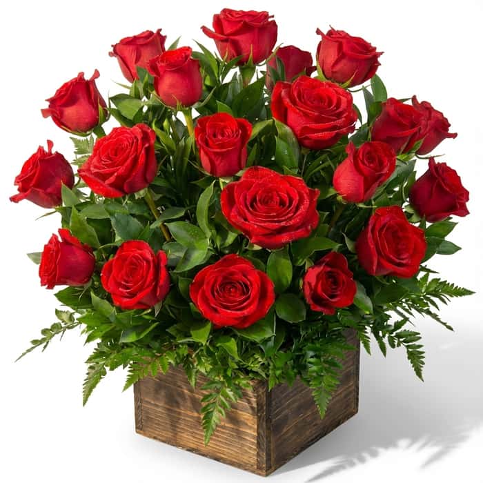 Arreglo Floral rosas rojas x 24