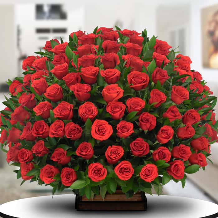 Arreglo Floral una cara rosas rojas x 72