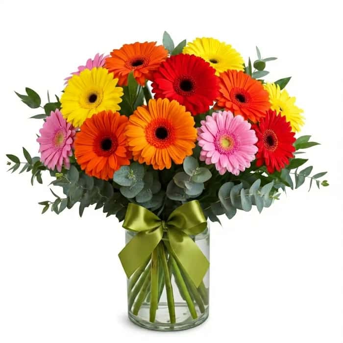 Florero gerberas varios colores x 12