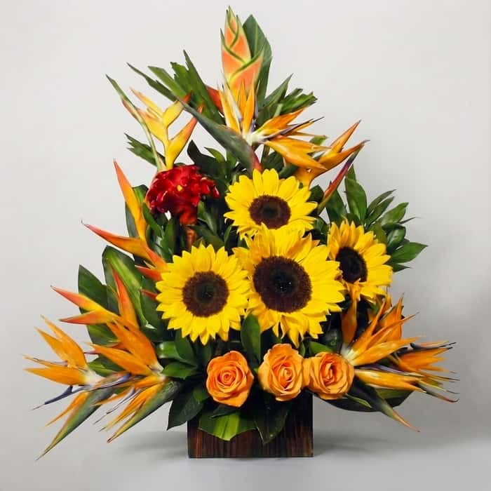 triangular varias flores x 17