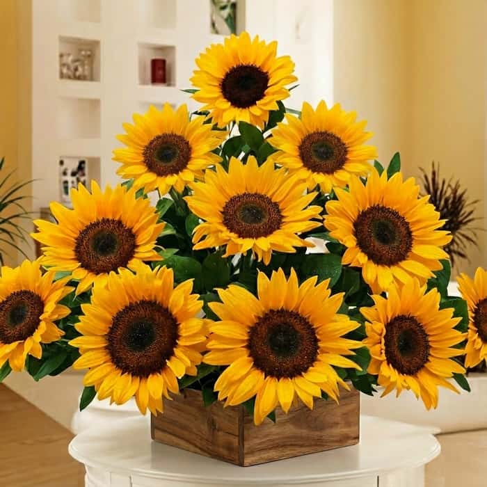 triangular girasoles x 12