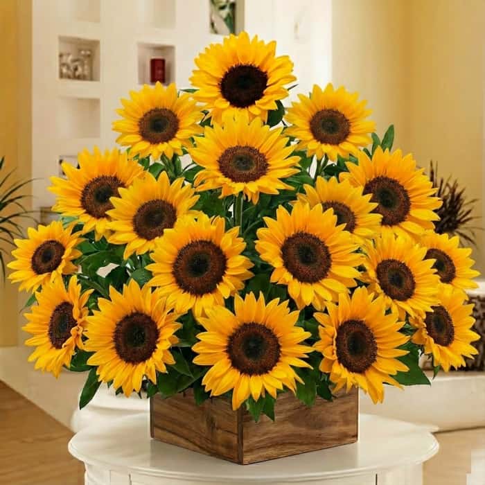 triangular girasoles x 18