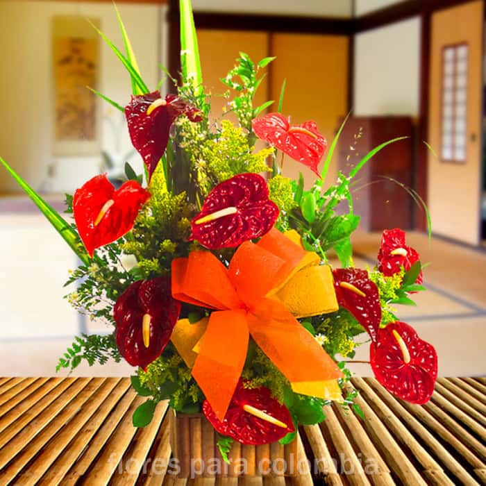 Arreglo Floral una cara anturios x 12